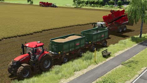 Rudolph DK 280 W Doppelkombination bei der Ernte